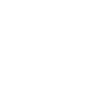 v2food-logo-white
